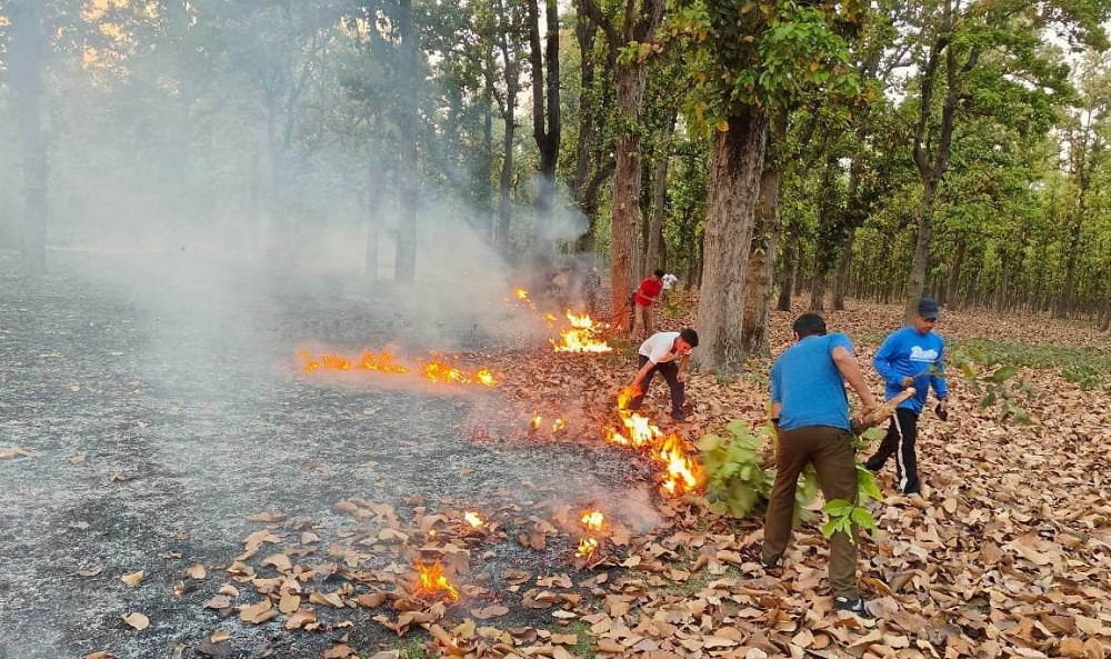 शुक्लाफाँटा निकुञ्जमा डढेलो