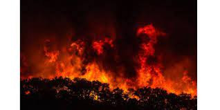 मङ्गोलियाको पूर्वी क्षेत्रमा भीषण डढेलो