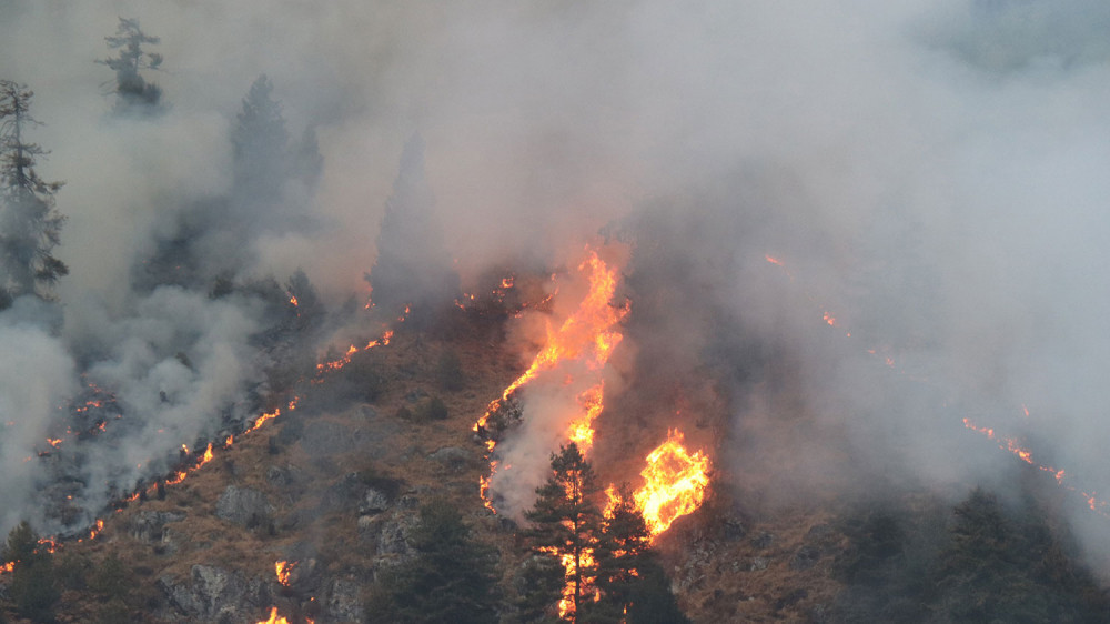 गुल्मीमा दुई हजार हेक्टर वनमा डढेलो