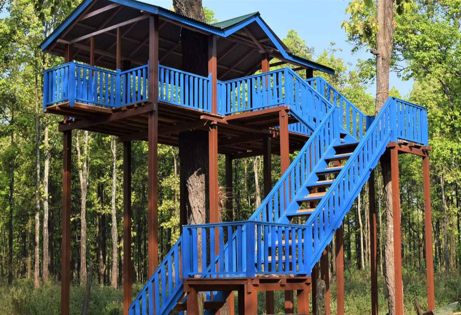 ट्रि हाउस