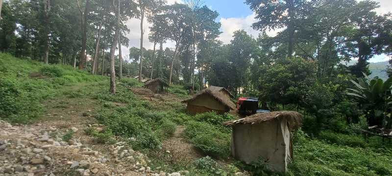 डेढ दशकदेखि बाढीपीडितको जङ्गलमै बास