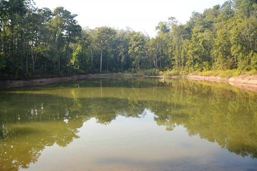 सामुदायिक वनमा पोखरी