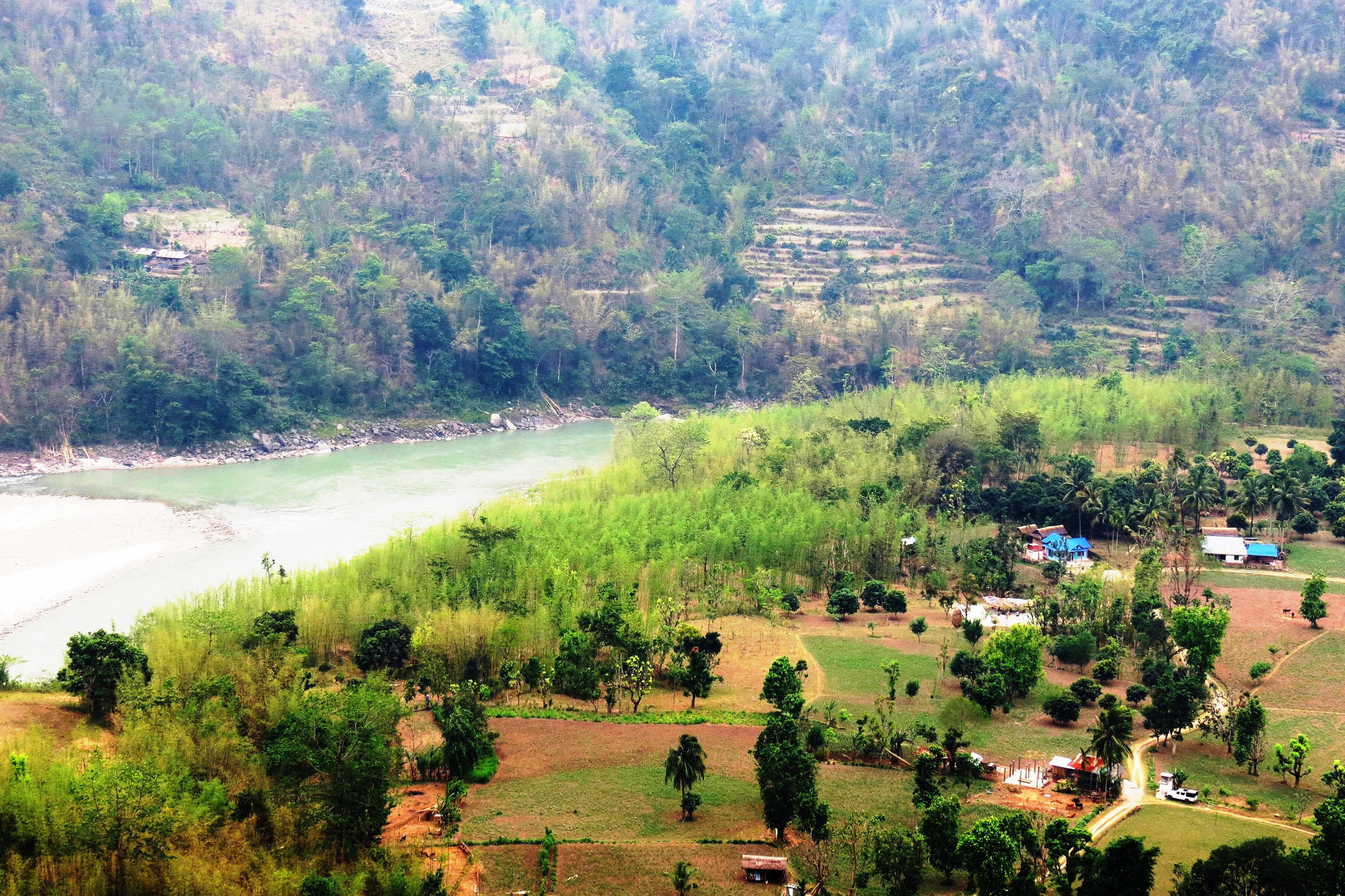 अखुवाटारमा बाँसखेती