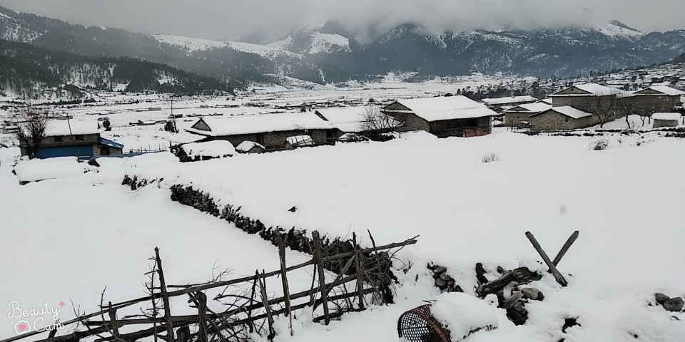 यस वर्ष पहिलो पटक ढोरपाटनमा हिमपात