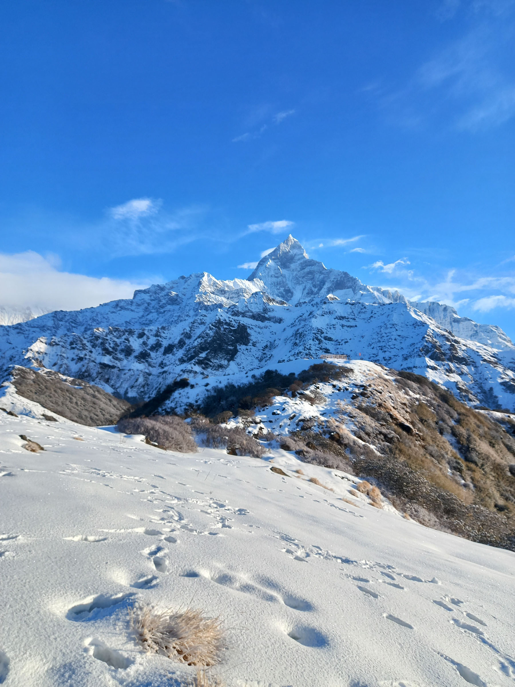 कोर्चां डाँडा र माछापुच्छ्रे हिमाल
