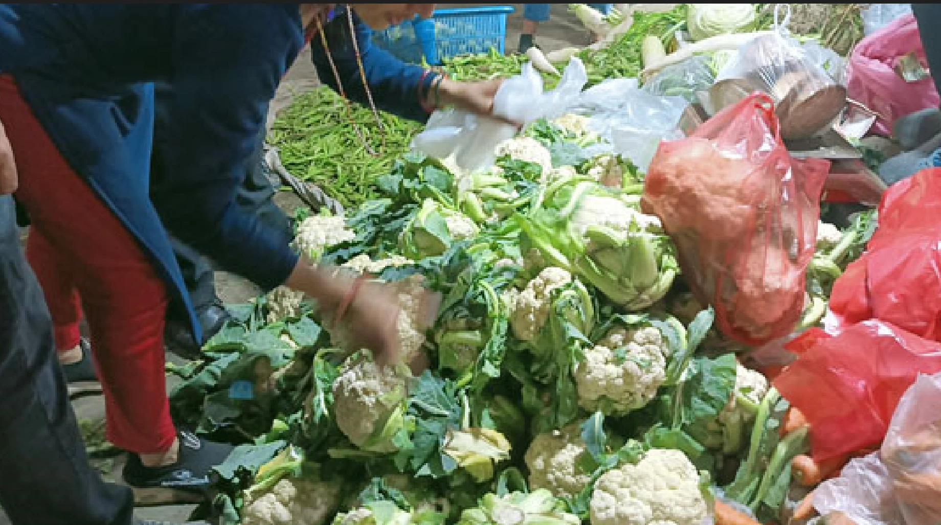 तरकारी बेच्न परिचयपत्र अनिवार्य