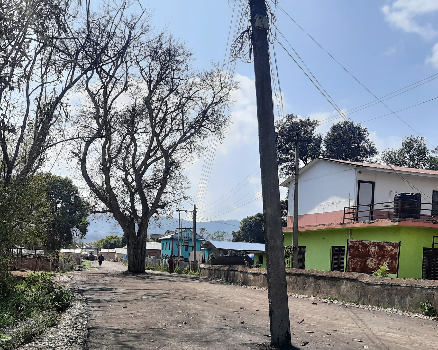 कलोपत्रेको बीचमा पोल र रुख