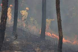 पाल्पाका २७  वडा डढेलोको उच्च जोखिममा