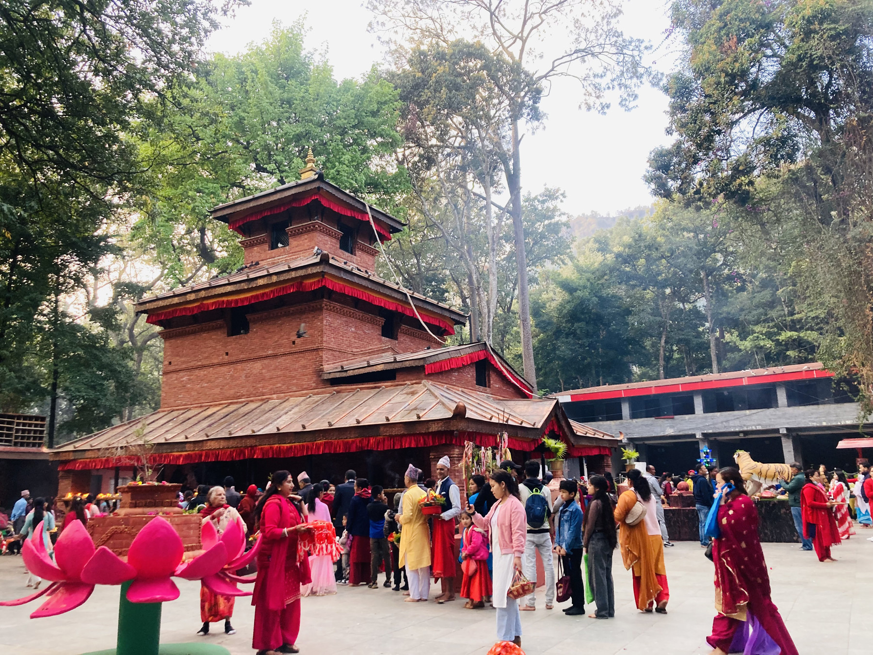 कालिका मन्दिरमा भक्तजन