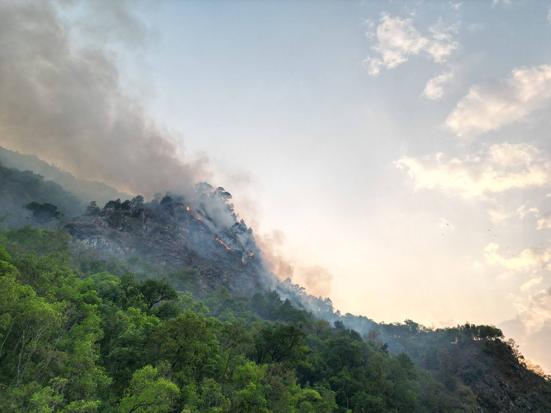 वन डढेलो