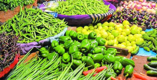 तरकारी बजारबाट मासिक डेढ लाख आम्दानी गर्दै विद्यालय