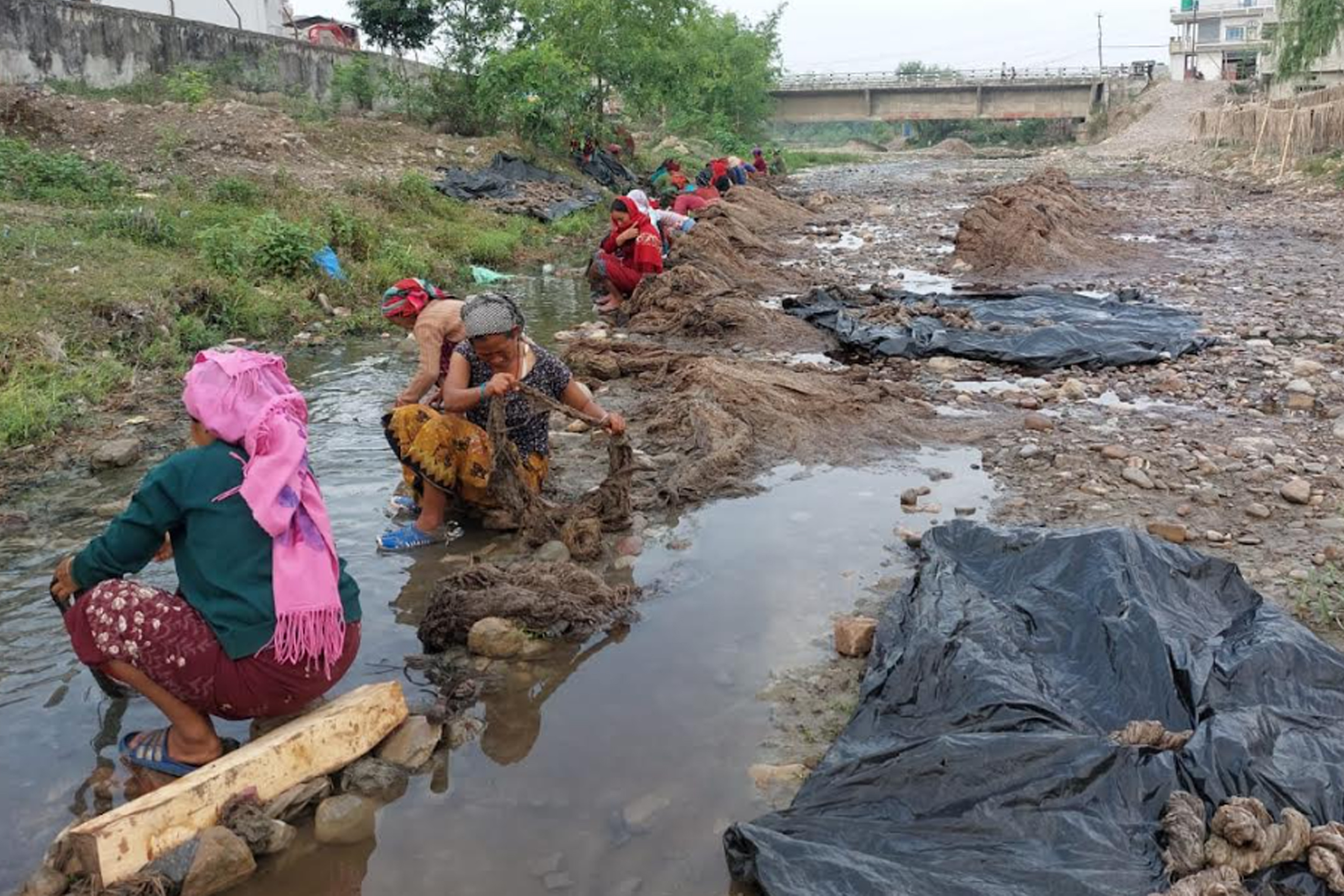 अल्लोको धागो धुदै महिला