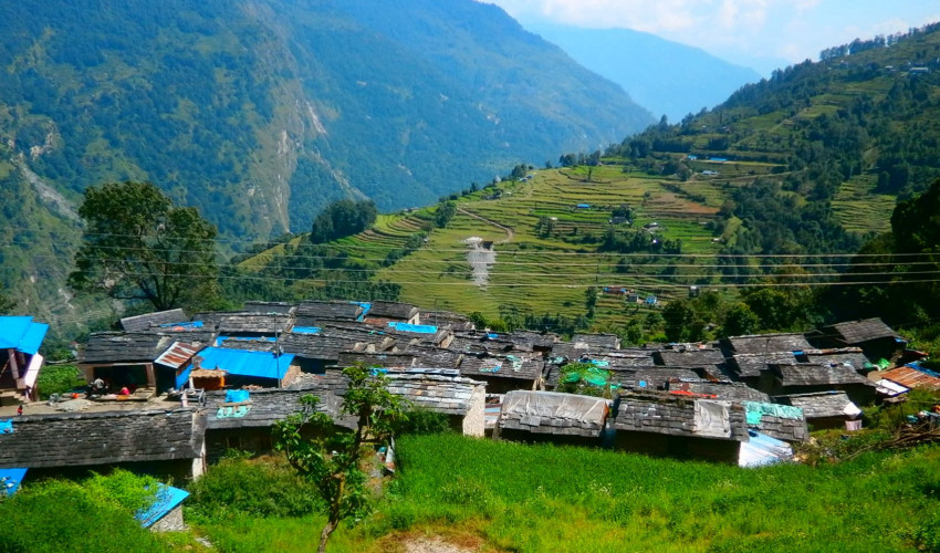 प्रकृतिलाई खुशी बनाउन भुमे पूजा