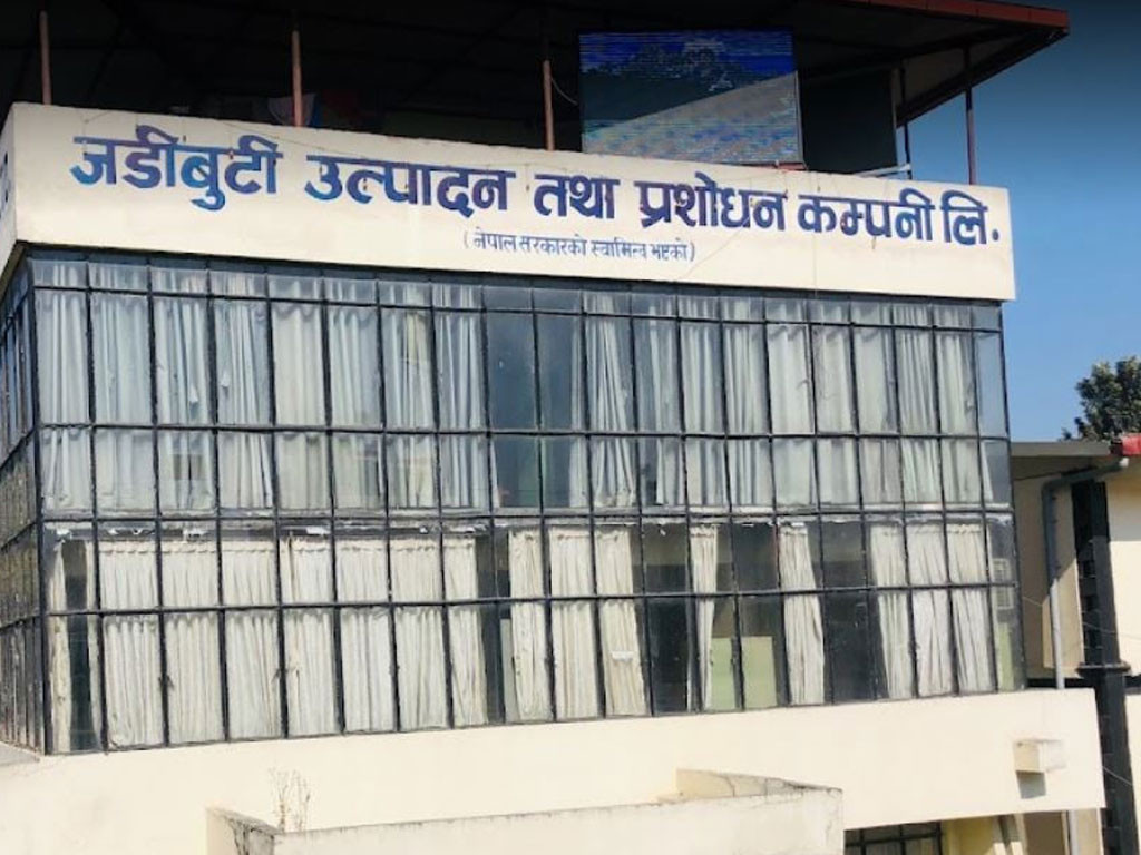 नियुक्ति पत्र दिन माग