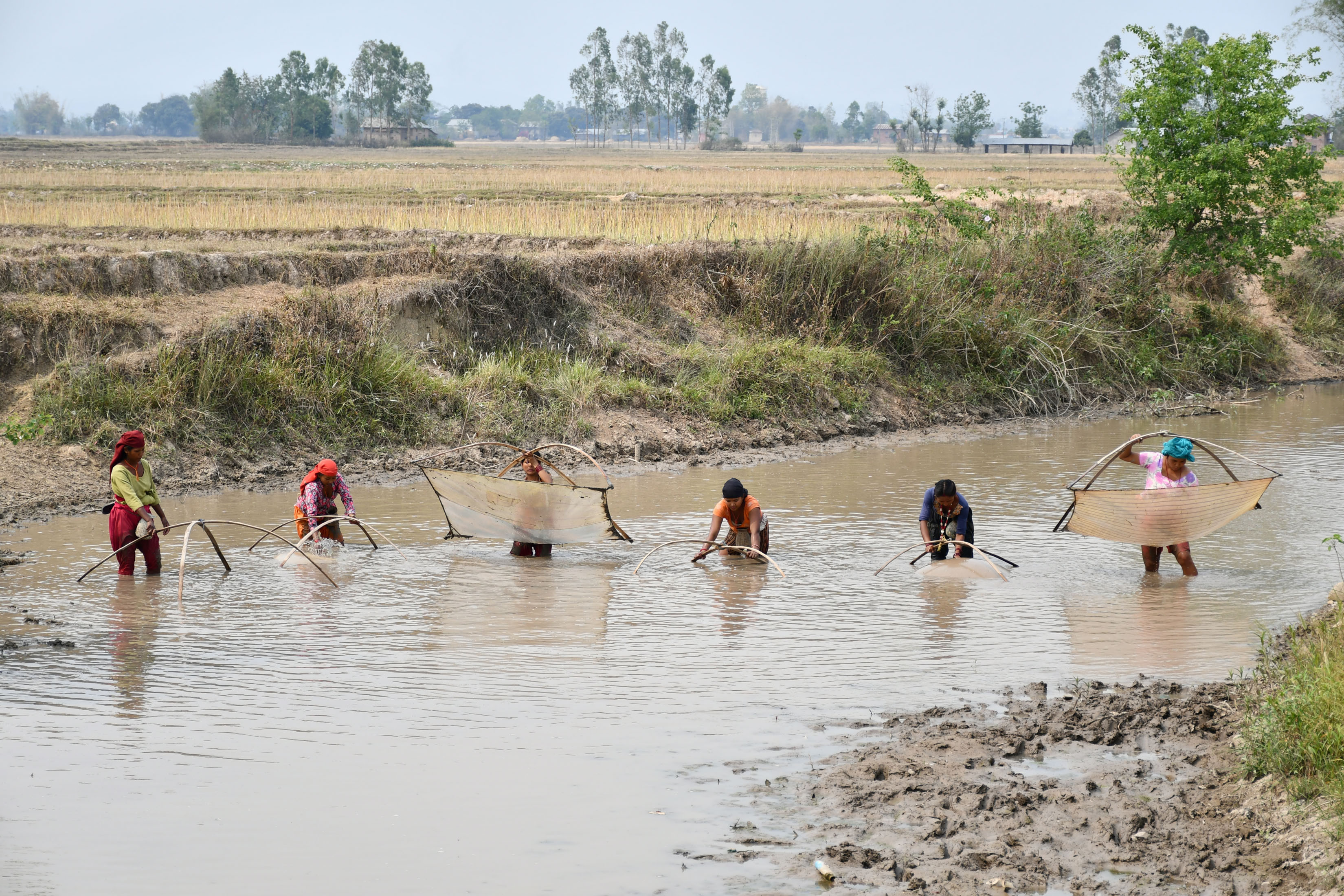 माछा मार्दै