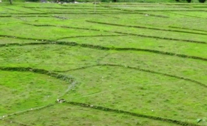 बाल संस्कार केन्द्रलाई जग्गादान