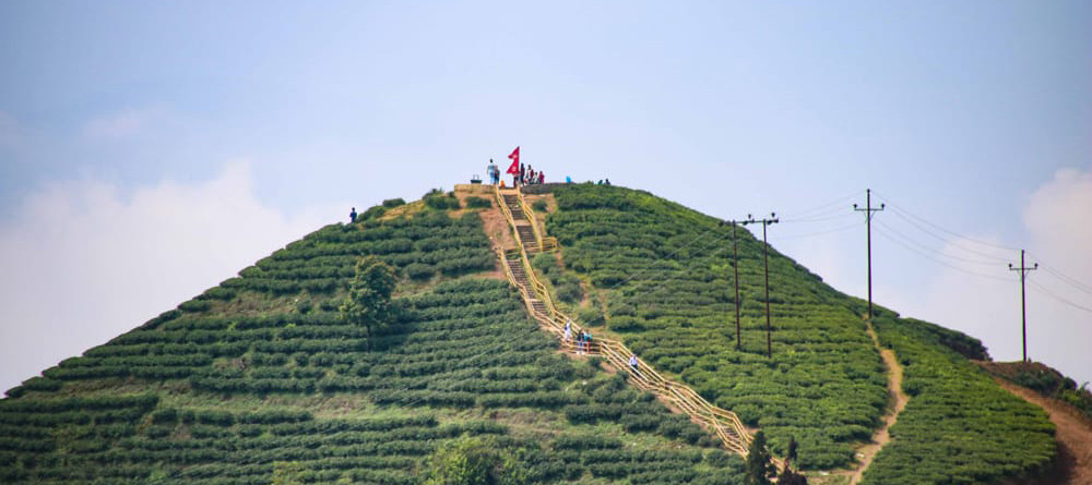 काठमाडौँ र इलाममा २७ औँ ‘राष्ट्रिय चिया दिवस’ मनाइने