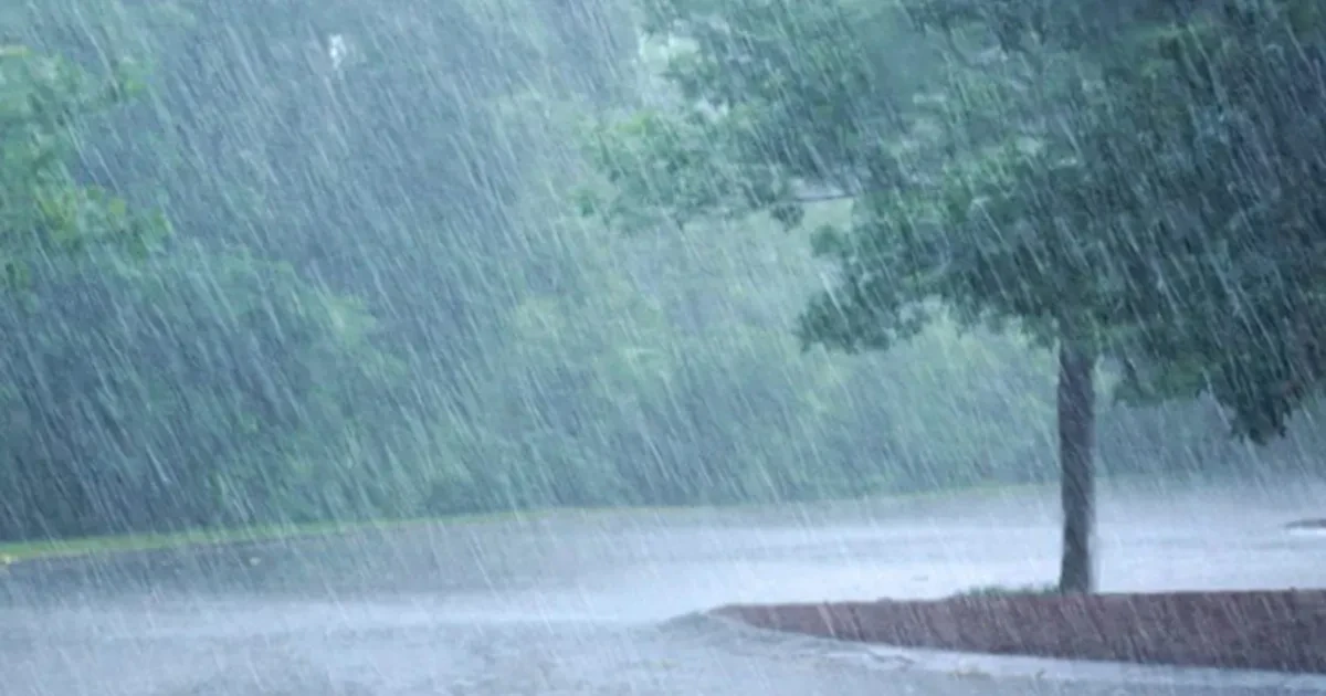 पाँच महिनापछि वर्षा हुँदा कृषक हर्षित